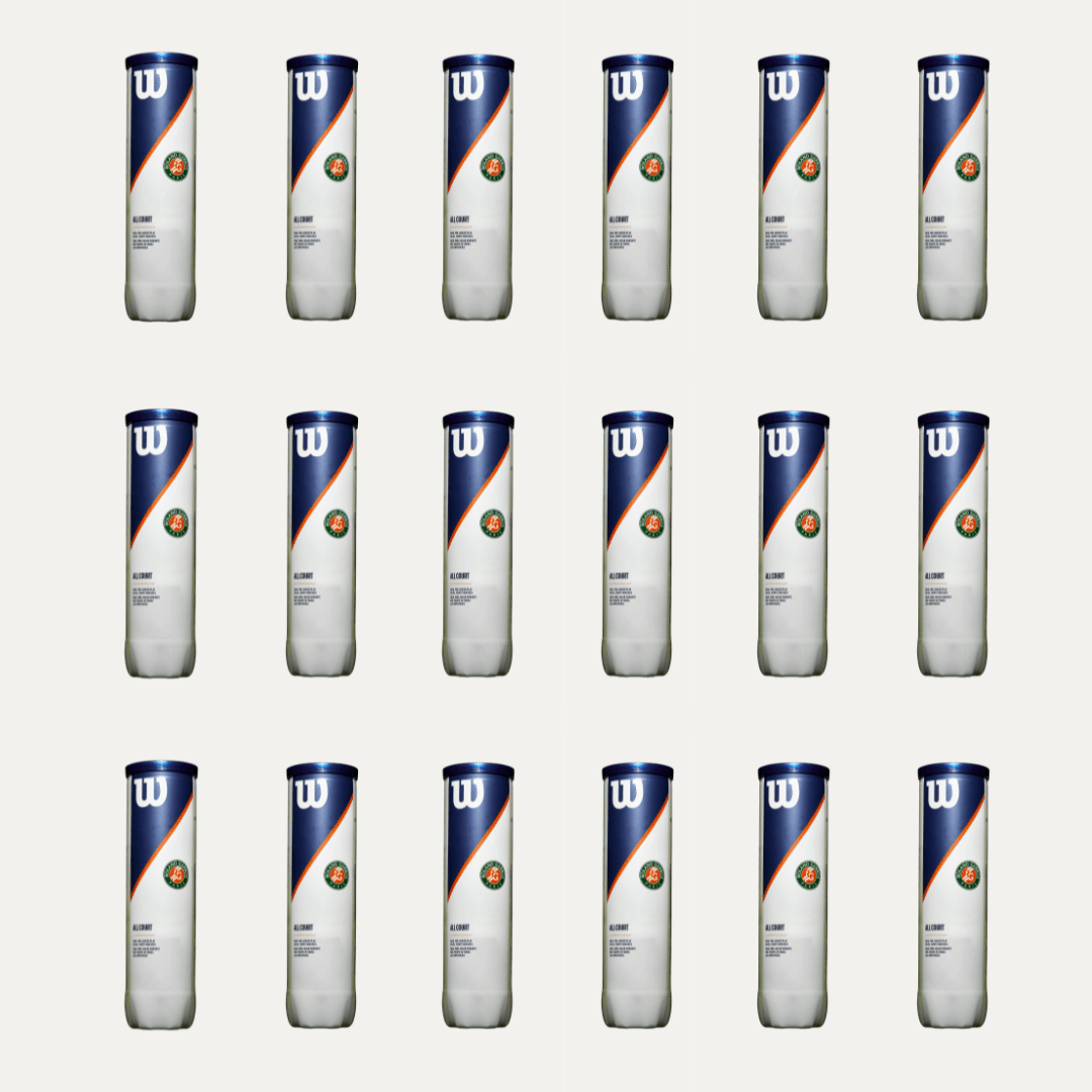 Wilson Roland Garros All Court tennisbold