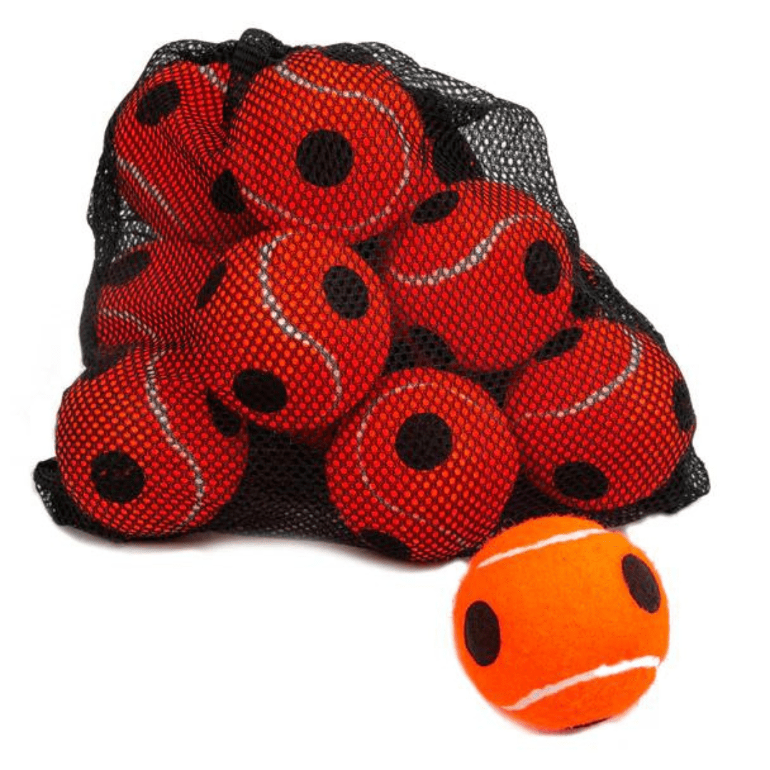 Fast Track Tennis rebounder-net med boldmaskine